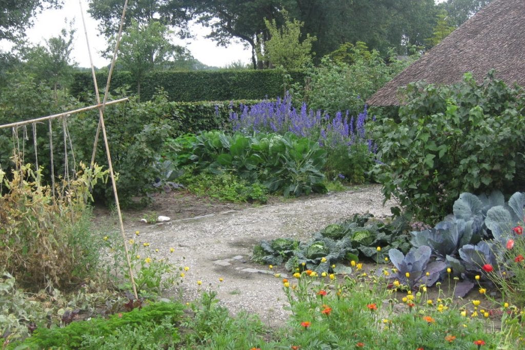 Moestuin met aantrekkingskracht