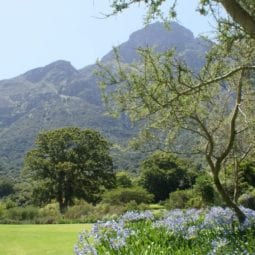 Bijzondere tuinen in Zuid-Afrika