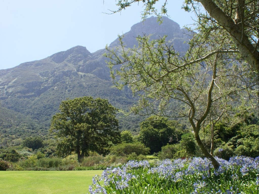 Kirstenbosch Botanical Garden