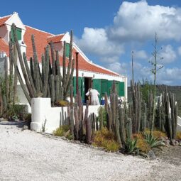 Landhuizen op Curacao